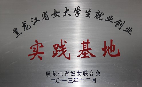 黑龙江省女大学生就业创业