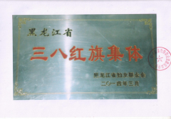 黑龙江省妇女联合会授予：三八红旗集体荣誉