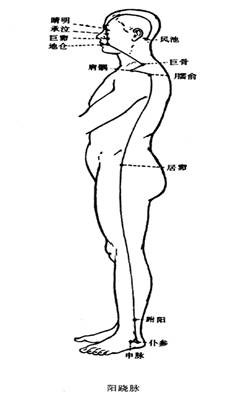 阳蹻、阴蹻脉图解